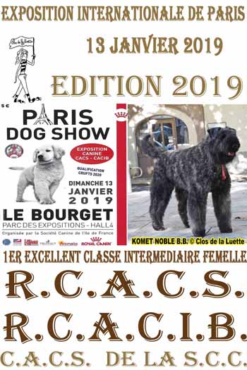 KOMET PARIS DOG SHOW 2019